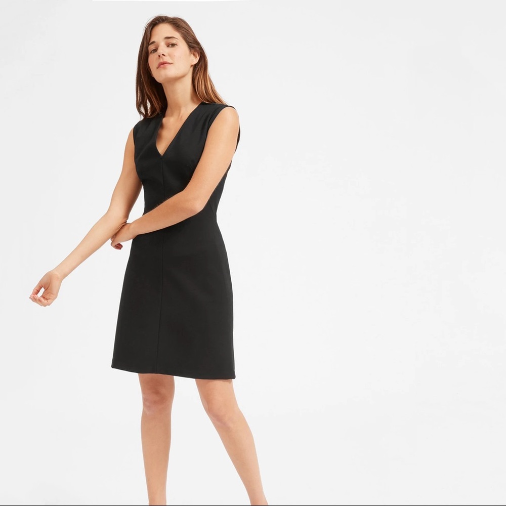 Everlane Sleveless V-Neck Flare Dress
